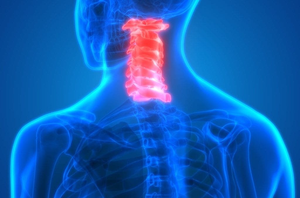 Exploring the Complexities of Cervical Spine Anatomy